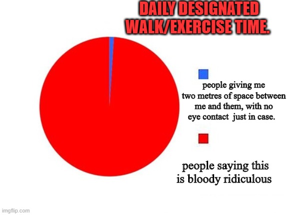 circle graph | DAILY DESIGNATED WALK/EXERCISE TIME. people giving me two metres of space between me and them, with no eye contact  just in case. people saying this is bloody ridiculous | image tagged in circle graph | made w/ Imgflip meme maker