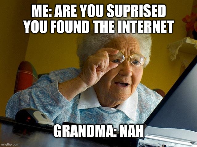 Grandma Finds The Internet Meme | ME: ARE YOU SUPRISED YOU FOUND THE INTERNET; GRANDMA: NAH | image tagged in memes,grandma finds the internet | made w/ Imgflip meme maker