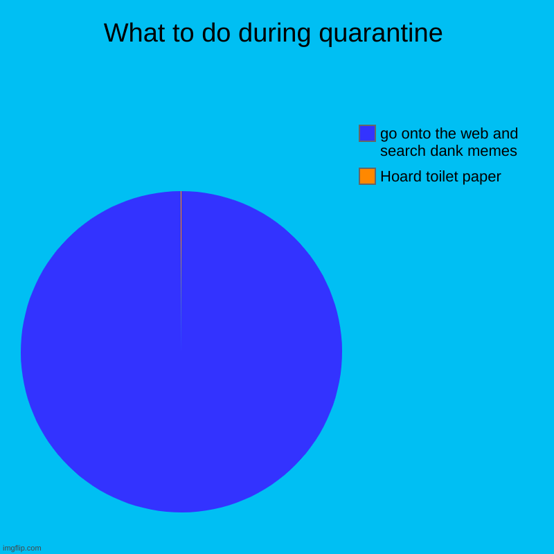What to do during quarantine | Hoard toilet paper, go onto the web and search dank memes | image tagged in charts,pie charts | made w/ Imgflip chart maker