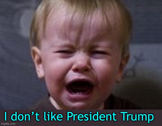 I don’t like President Trump | made w/ Imgflip meme maker