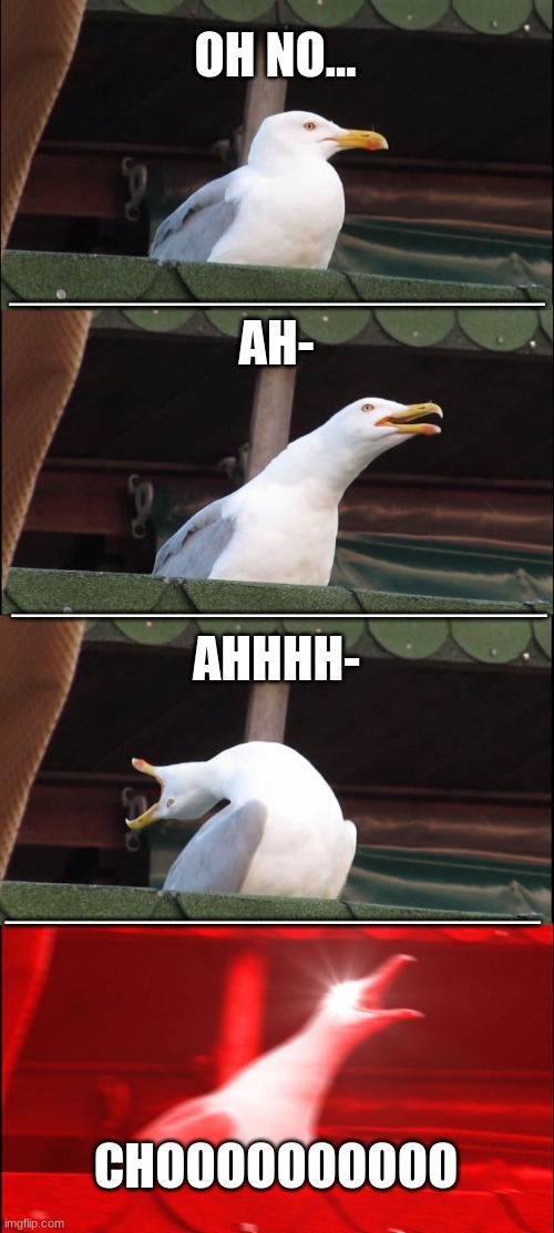 Inhaling Seagull | OH NO... ___________________; AH-; ___________________; AHHHH-; ___________________; CHOOOOOOOOOO | image tagged in memes,inhaling seagull | made w/ Imgflip meme maker