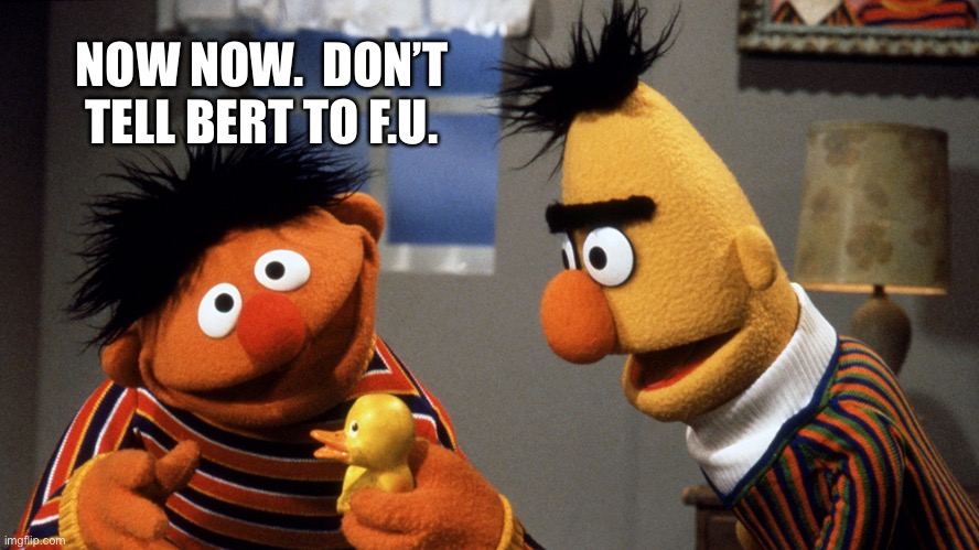 Ernie and Bert discuss Rubber Duckie | NOW NOW.  DON’T TELL BERT TO F.U. | image tagged in ernie and bert discuss rubber duckie | made w/ Imgflip meme maker