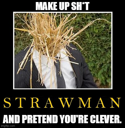 Straw Man Argument - nobody has ever said that | MAKE UP SH*T AND PRETEND YOU'RE CLEVER. | image tagged in straw man argument - nobody has ever said that | made w/ Imgflip meme maker