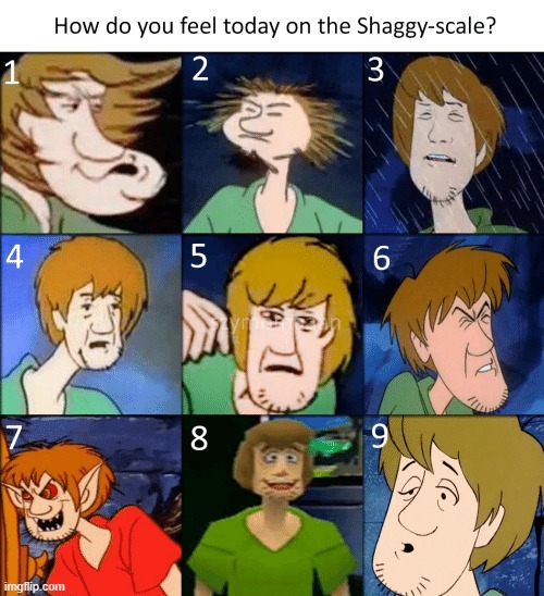 Zoinks!! | image tagged in shaggy meme | made w/ Imgflip meme maker