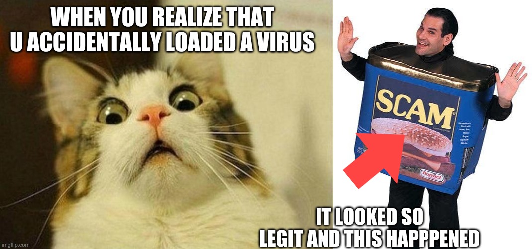 WHEN YOU REALIZE THAT U ACCIDENTALLY LOADED A VIRUS; IT LOOKED SO LEGIT AND THIS HAPPPENED | image tagged in memes,scared cat,scam | made w/ Imgflip meme maker