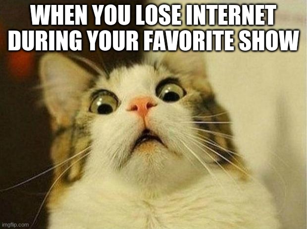 Scared Cat | WHEN YOU LOSE INTERNET DURING YOUR FAVORITE SHOW | image tagged in memes,scared cat | made w/ Imgflip meme maker