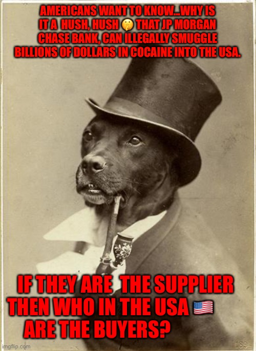 Old Money Dog | AMERICANS WANT TO KNOW...WHY IS IT A  HUSH, HUSH 🤫 THAT JP MORGAN CHASE BANK, CAN ILLEGALLY SMUGGLE BILLIONS OF DOLLARS IN COCAINE INTO THE USA. IF THEY ARE  THE SUPPLIER  THEN WHO IN THE USA 🇺🇸             ARE THE BUYERS? | image tagged in old money dog | made w/ Imgflip meme maker