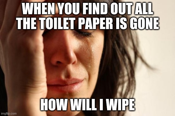 First World Problems | WHEN YOU FIND OUT ALL THE TOILET PAPER IS GONE; HOW WILL I WIPE | image tagged in memes,first world problems | made w/ Imgflip meme maker