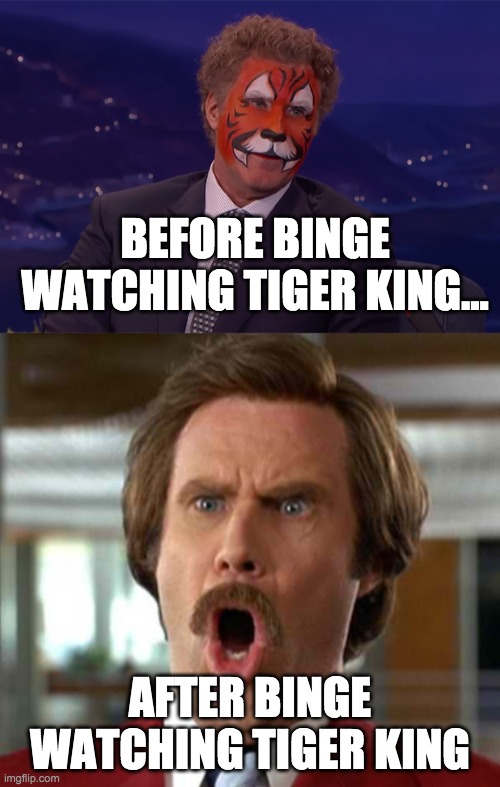 tiger king binge