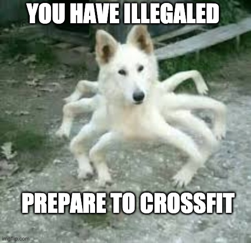 Spiderdog | YOU HAVE ILLEGALED; PREPARE TO CROSSFIT | image tagged in spiderdog | made w/ Imgflip meme maker