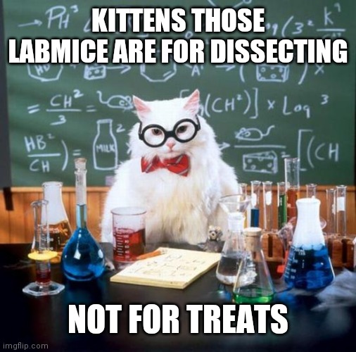 Chemistry Cat Meme | KITTENS THOSE LABMICE ARE FOR DISSECTING; NOT FOR TREATS | image tagged in memes,chemistry cat | made w/ Imgflip meme maker