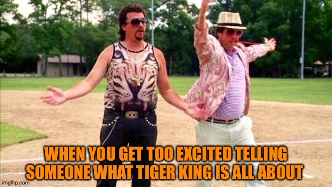 WHEN YOU GET TOO EXCITED TELLING SOMEONE WHAT TIGER KING IS ALL ABOUT | image tagged in tiger king,meme,netflix,funny | made w/ Imgflip meme maker