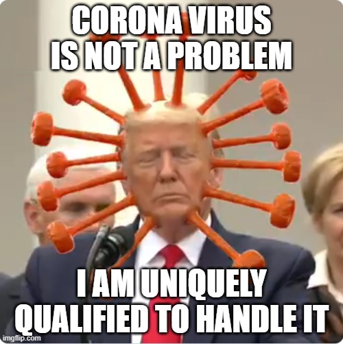 trump | CORONA VIRUS IS NOT A PROBLEM; I AM UNIQUELY QUALIFIED TO HANDLE IT | image tagged in trump | made w/ Imgflip meme maker