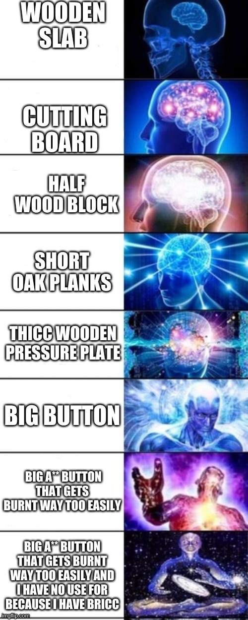 Explaining Brain extended | WOODEN SLAB CUTTING BOARD HALF WOOD BLOCK SHORT OAK PLANKS THICC WOODEN PRESSURE PLATE BIG BUTTON BIG A** BUTTON THAT GETS BURNT WAY TOO EAS | image tagged in explaining brain extended | made w/ Imgflip meme maker