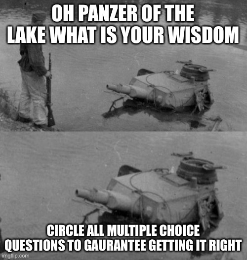 Panzer of the lake | OH PANZER OF THE LAKE WHAT IS YOUR WISDOM; CIRCLE ALL MULTIPLE CHOICE QUESTIONS TO GAURANTEE GETTING IT RIGHT | image tagged in panzer of the lake | made w/ Imgflip meme maker