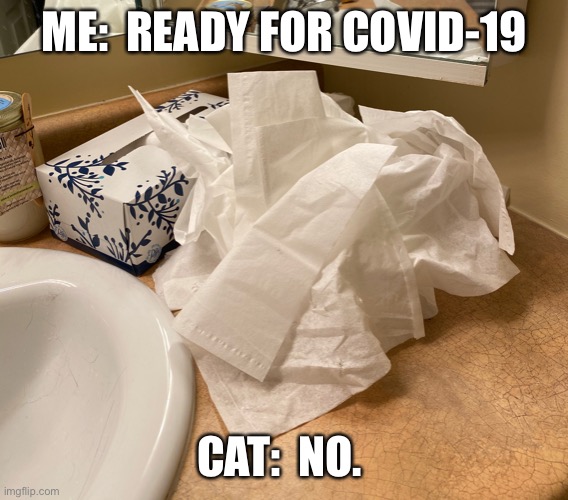 Coronavirus Cat |  ME:  READY FOR COVID-19; CAT:  NO. | image tagged in cat,coronavirus,kleenex,tissue | made w/ Imgflip meme maker