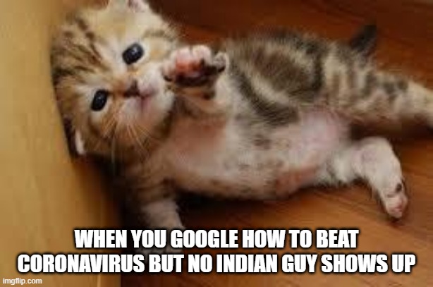 Sad Kitten Goodbye | WHEN YOU GOOGLE HOW TO BEAT CORONAVIRUS BUT NO INDIAN GUY SHOWS UP | image tagged in sad kitten goodbye | made w/ Imgflip meme maker