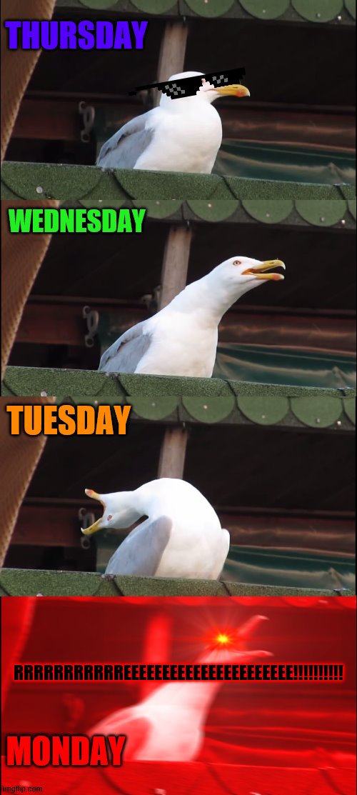 me during 4 days of the week | THURSDAY; WEDNESDAY; TUESDAY; RRRRRRRRRRREEEEEEEEEEEEEEEEEEEEEE!!!!!!!!!! MONDAY | image tagged in memes,inhaling seagull | made w/ Imgflip meme maker