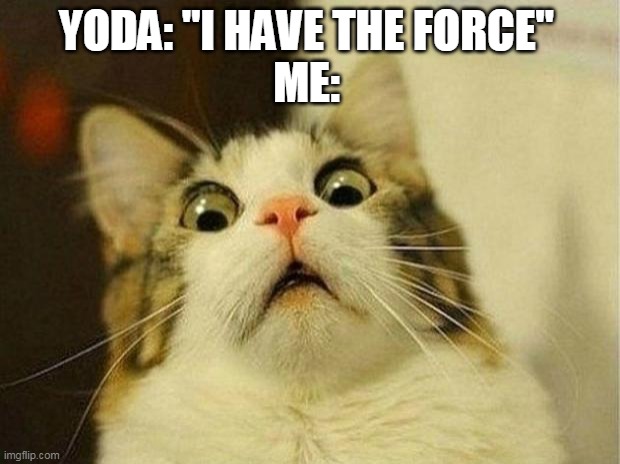 Scared Cat | YODA: "I HAVE THE FORCE"
ME: | image tagged in memes,scared cat | made w/ Imgflip meme maker