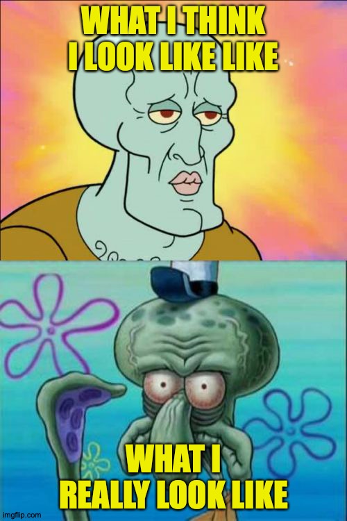 Squidward | WHAT I THINK I LOOK LIKE LIKE; WHAT I REALLY LOOK LIKE | image tagged in memes,squidward | made w/ Imgflip meme maker