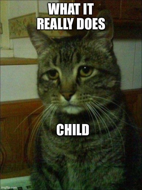 Depressed Cat Meme | WHAT IT REALLY DOES CHILD | image tagged in memes,depressed cat | made w/ Imgflip meme maker