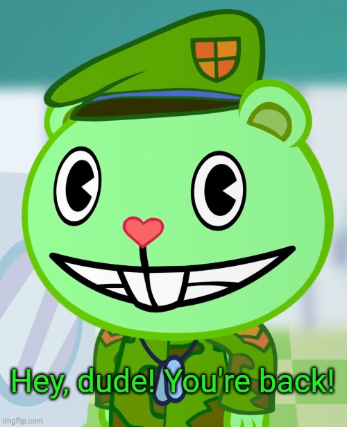 Flippy Smiles (HTF) | Hey, dude! You're back! | image tagged in flippy smiles htf | made w/ Imgflip meme maker