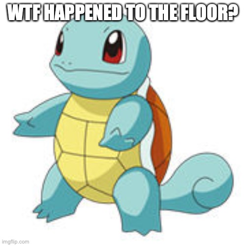 True gamers will understand. | WTF HAPPENED TO THE FLOOR? | image tagged in squirtle | made w/ Imgflip meme maker
