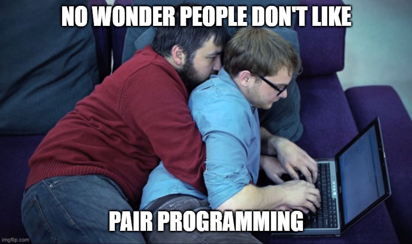 pair programmer |  NO WONDER PEOPLE DON'T LIKE; PAIR PROGRAMMING | image tagged in pair programmer | made w/ Imgflip meme maker