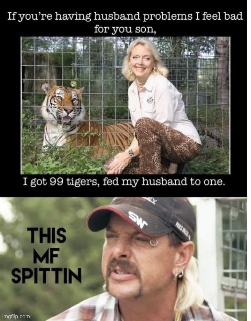 Tiger Queen | image tagged in tiger queen | made w/ Imgflip meme maker