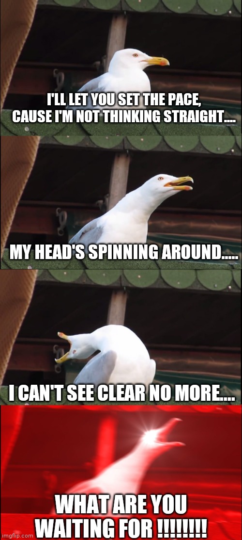 Inhaling Seagull | I'LL LET YOU SET THE PACE, CAUSE I'M NOT THINKING STRAIGHT.... MY HEAD'S SPINNING AROUND..... I CAN'T SEE CLEAR NO MORE.... WHAT ARE YOU WAITING FOR !!!!!!!! | image tagged in memes,inhaling seagull | made w/ Imgflip meme maker