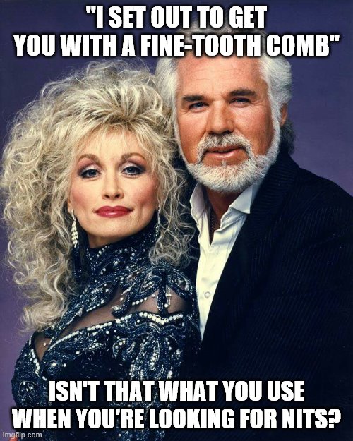 Kenny & dolly | "I SET OUT TO GET YOU WITH A FINE-TOOTH COMB"; ISN'T THAT WHAT YOU USE WHEN YOU'RE LOOKING FOR NITS? | image tagged in kenny  dolly | made w/ Imgflip meme maker