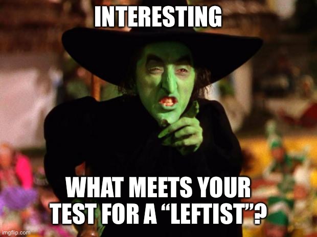 When they say they will automatically discount any sexual harassment allegations brought by a “Leftist” woman | INTERESTING; WHAT MEETS YOUR TEST FOR A “LEFTIST”? | image tagged in wicked witch,leftists,leftist,witch hunt,sexual harassment,metoo | made w/ Imgflip meme maker