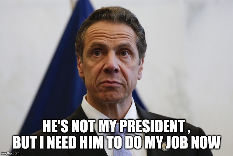 "New York , what a sh*thole" - sane people | HE'S NOT MY PRESIDENT , BUT I NEED HIM TO DO MY JOB NOW | image tagged in andrew cuomo,thanks,i can do anything,except everything,politicians suck | made w/ Imgflip meme maker