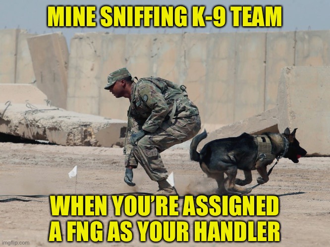 Click | MINE SNIFFING K-9 TEAM; WHEN YOU’RE ASSIGNED A FNG AS YOUR HANDLER | image tagged in mines,k9,fng,rookie | made w/ Imgflip meme maker