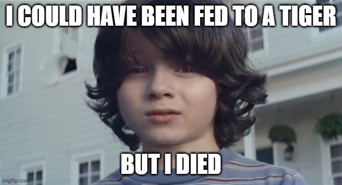 Nationwide Kid | I COULD HAVE BEEN FED TO A TIGER; BUT I DIED | image tagged in nationwide kid,tiger king,murder,but i died,funny,memes | made w/ Imgflip meme maker