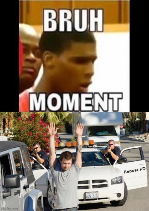image tagged in repost police,bruh moment | made w/ Imgflip meme maker