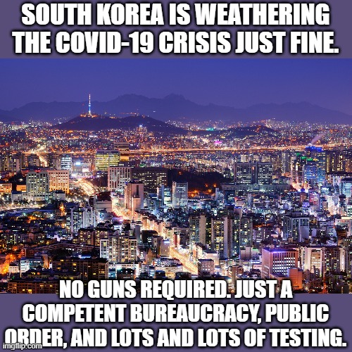 Some countries got their covid-19 response right. South Korea is one of them. | SOUTH KOREA IS WEATHERING THE COVID-19 CRISIS JUST FINE. NO GUNS REQUIRED. JUST A COMPETENT BUREAUCRACY, PUBLIC ORDER, AND LOTS AND LOTS OF  | image tagged in seoul skyline,covid-19,coronavirus,south korea,pandemic,gun control | made w/ Imgflip meme maker