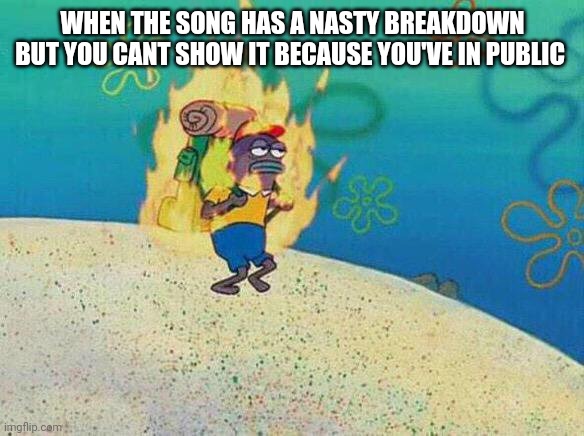 Fish on Fire | WHEN THE SONG HAS A NASTY BREAKDOWN BUT YOU CANT SHOW IT BECAUSE YOU'VE IN PUBLIC | image tagged in fish on fire | made w/ Imgflip meme maker