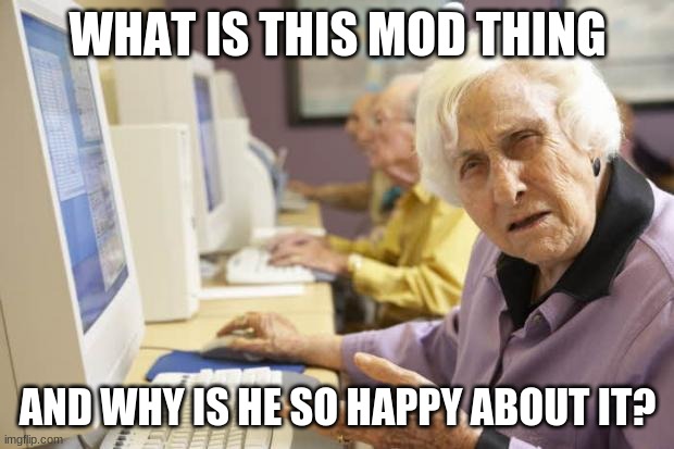 Old Lady | WHAT IS THIS MOD THING AND WHY IS HE SO HAPPY ABOUT IT? | image tagged in old lady | made w/ Imgflip meme maker