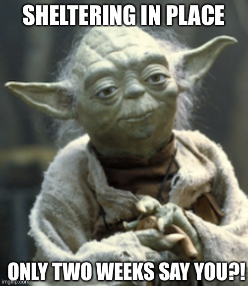 Yoda | SHELTERING IN PLACE; ONLY TWO WEEKS SAY YOU?! | image tagged in yoda | made w/ Imgflip meme maker