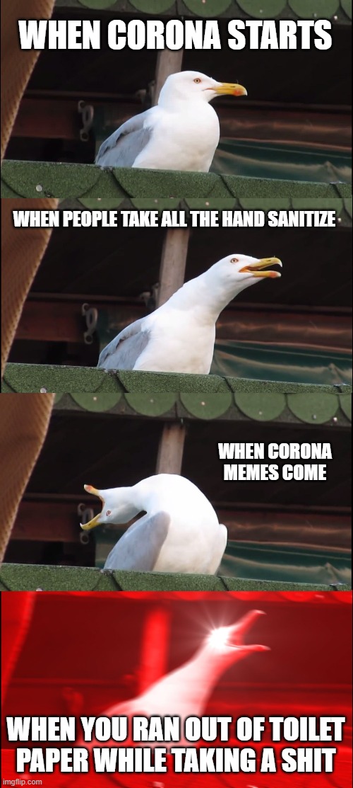 Inhaling Seagull Meme | WHEN CORONA STARTS; WHEN PEOPLE TAKE ALL THE HAND SANITIZE; WHEN CORONA MEMES COME; WHEN YOU RAN OUT OF TOILET PAPER WHILE TAKING A SHIT | image tagged in memes,inhaling seagull | made w/ Imgflip meme maker