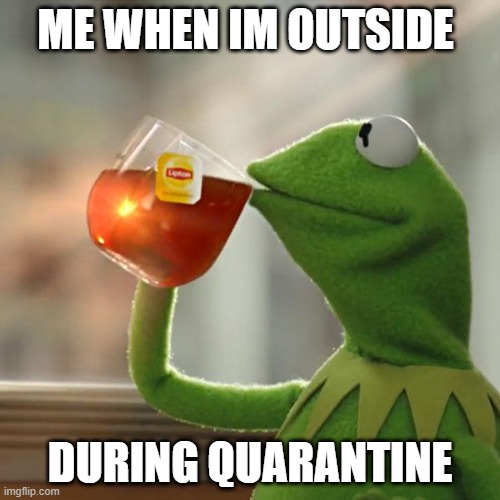 But That's None Of My Business | ME WHEN IM OUTSIDE; DURING QUARANTINE | image tagged in memes,but thats none of my business,kermit the frog | made w/ Imgflip meme maker