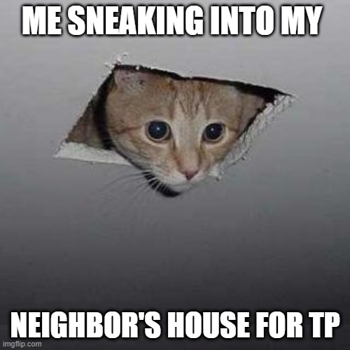 Ceiling Cat Meme | ME SNEAKING INTO MY; NEIGHBOR'S HOUSE FOR TP | image tagged in memes,ceiling cat | made w/ Imgflip meme maker