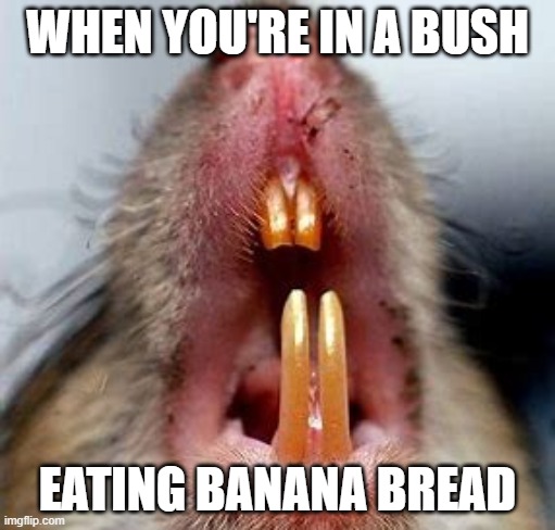 WHEN YOU'RE IN A BUSH; EATING BANANA BREAD | image tagged in tarkov,escapefromtarkov,ratattack | made w/ Imgflip meme maker