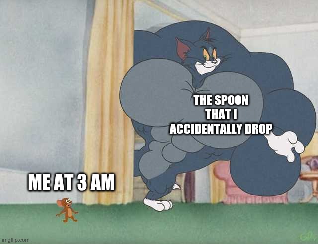 THE SPOON THAT I ACCIDENTALLY DROP; ME AT 3 AM | image tagged in memes | made w/ Imgflip meme maker