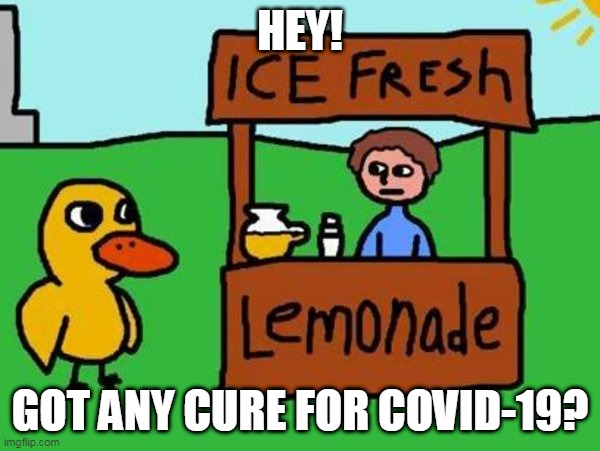 The Duck Song | HEY! GOT ANY CURE FOR COVID-19? | image tagged in the duck song | made w/ Imgflip meme maker