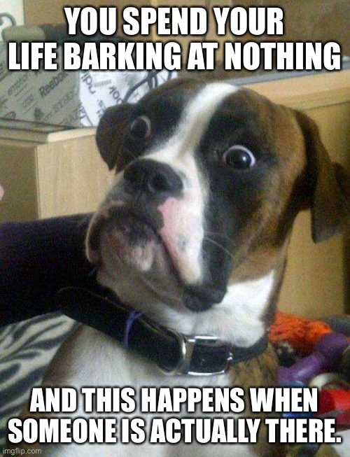 Blankie the Shocked Dog | YOU SPEND YOUR LIFE BARKING AT NOTHING; AND THIS HAPPENS WHEN SOMEONE IS ACTUALLY THERE. | image tagged in blankie the shocked dog | made w/ Imgflip meme maker