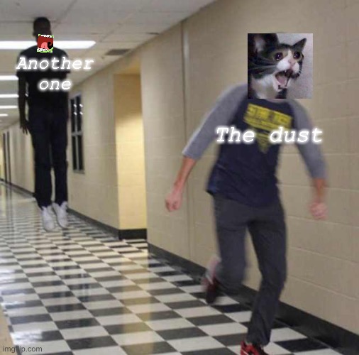 floating boy chasing running boy | Another one; The dust | image tagged in floating boy chasing running boy | made w/ Imgflip meme maker