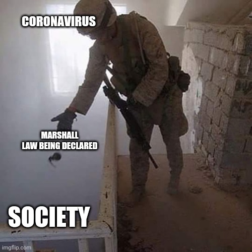 Grenade Drop | CORONAVIRUS; MARSHALL LAW BEING DECLARED; SOCIETY | image tagged in grenade drop | made w/ Imgflip meme maker