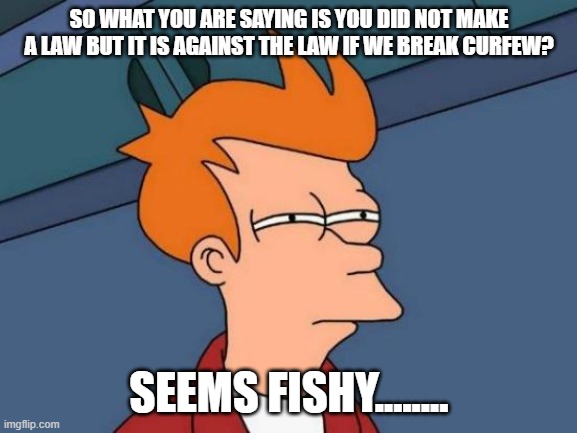 Futurama Fry | SO WHAT YOU ARE SAYING IS YOU DID NOT MAKE A LAW BUT IT IS AGAINST THE LAW IF WE BREAK CURFEW? SEEMS FISHY........ | image tagged in memes,futurama fry | made w/ Imgflip meme maker